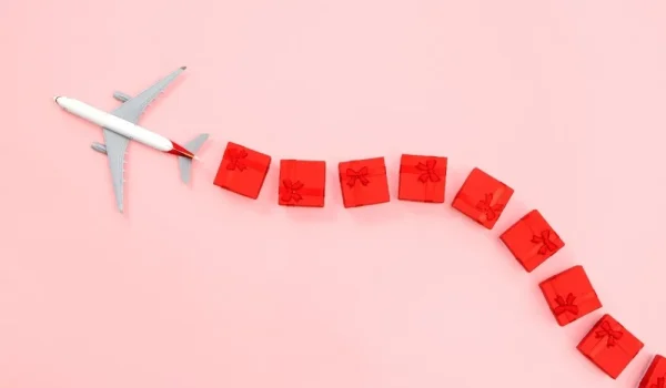 Air Canada Travel Assistance Overview.