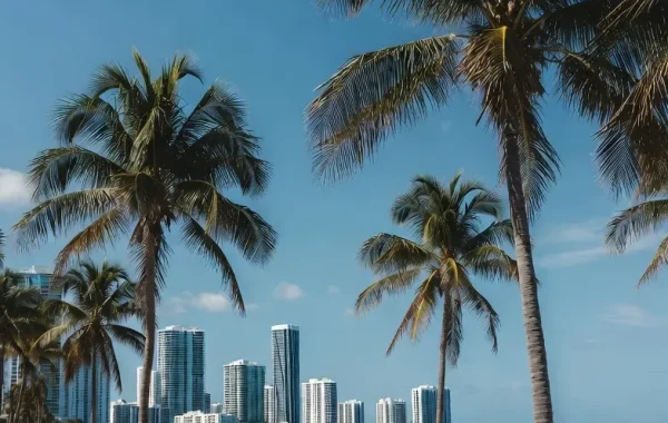 Flight Booking Travel Agency Miami