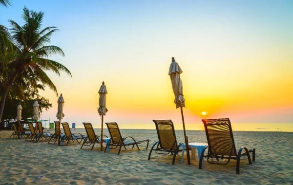 Travel Agency in Chicago IL – Local Experts